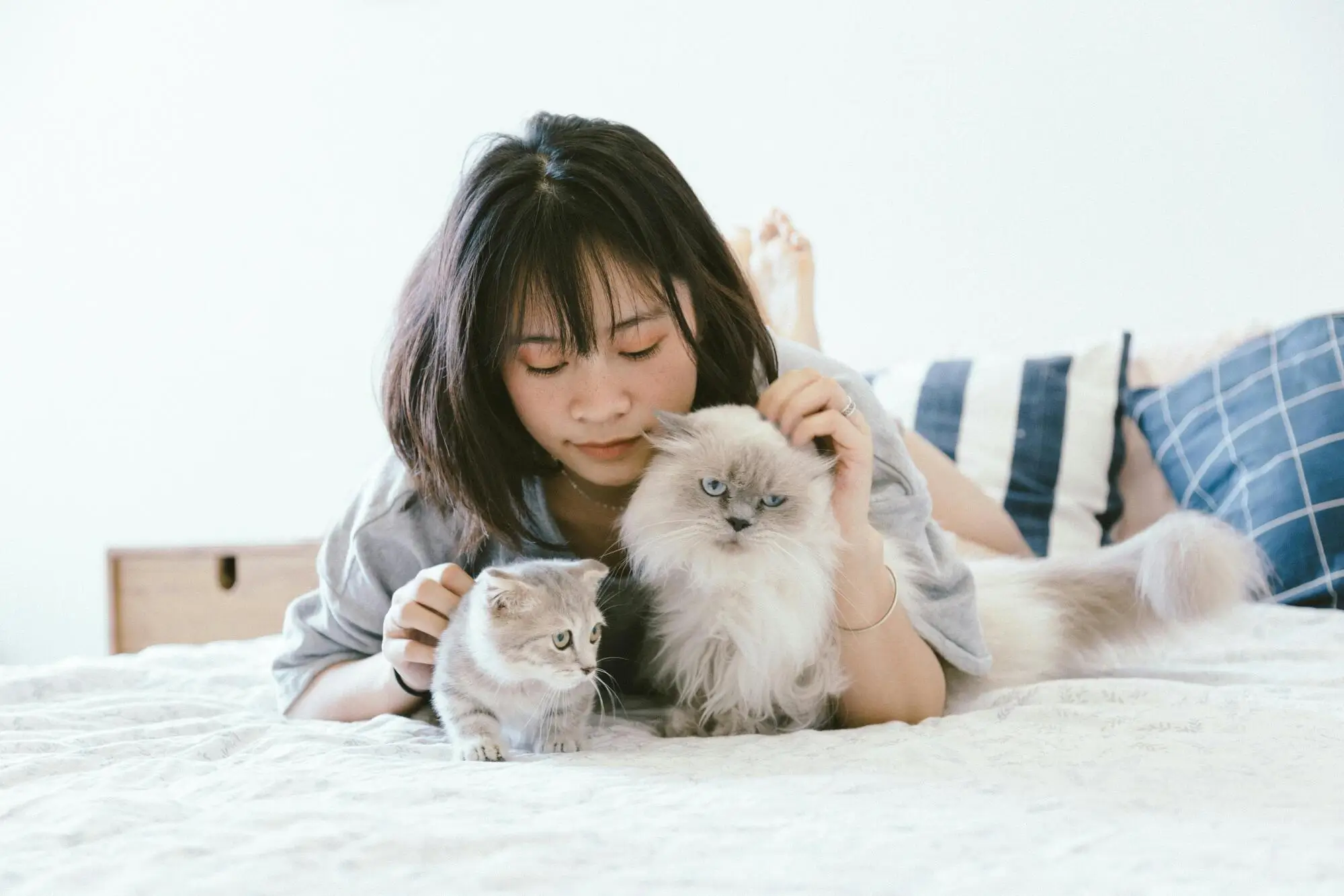 Pros and Cons of Allowing Pets in your Rental Property